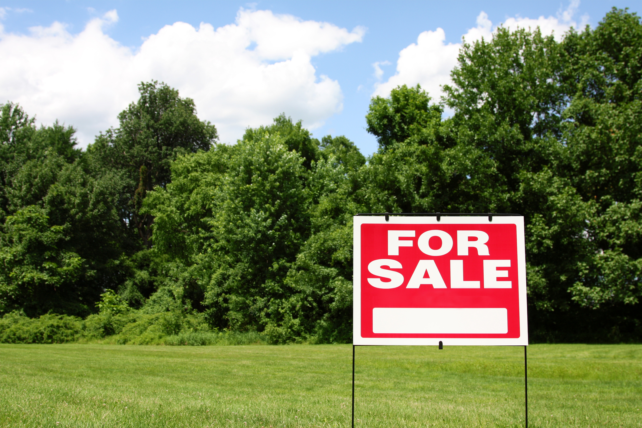 LandForSale