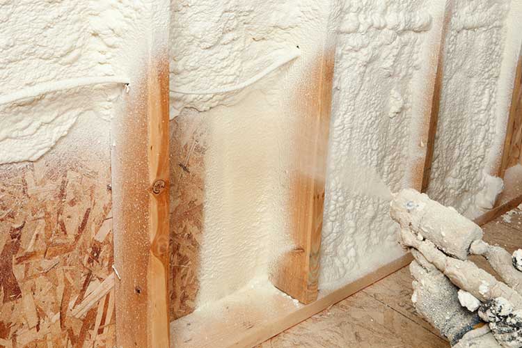 SprayInsulation